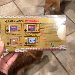 Game & watch super Mario bros